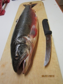 Nieri� (Rautu) 2,23 kg